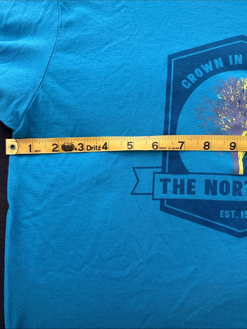 The North Face Men’s Teal Blue Graphic Short-Sleeve Tee